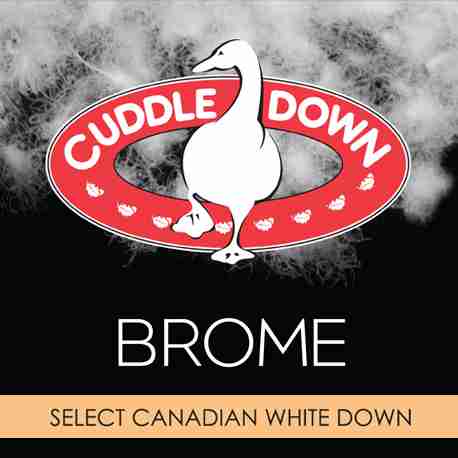 Brome Down Pillow by Cuddledown