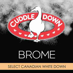 Brome Down Pillow by Cuddledown