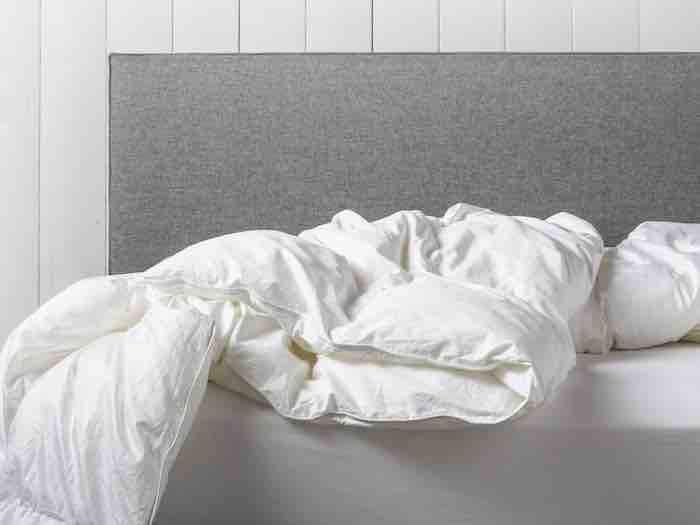 I Can Not Believe Its Not Down Duvet/Comforter