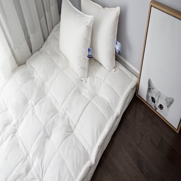 Soft Touch Down/Feather Bed Mattress Topper