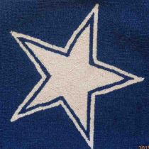 Blue Star Needlepoint Cushion