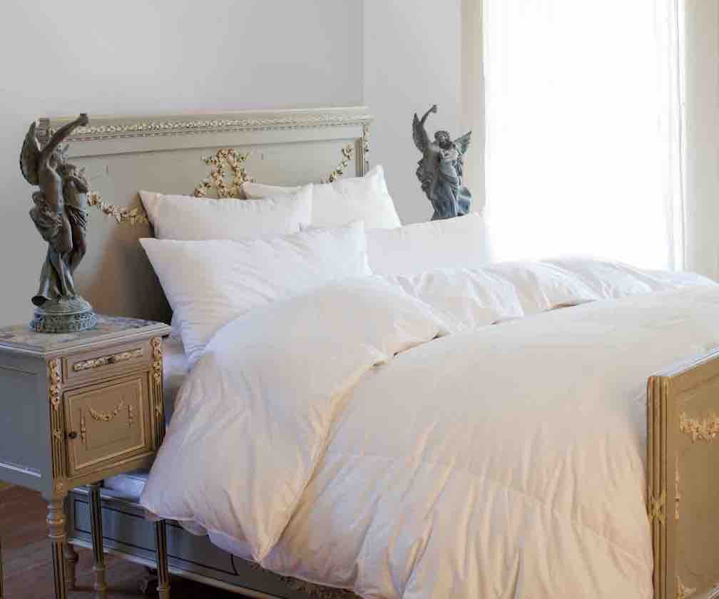 ZIEGLER by St.Geneve Down Duvet - Made In Canada