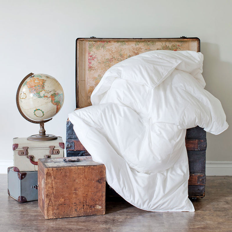 The Essential Travel Duvet by St Geneve Home Fashion