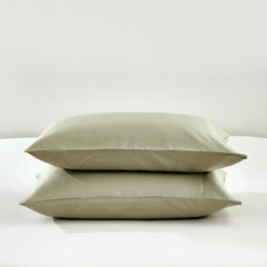 Pristine Pima Cotton Pillowcase by Daniadown