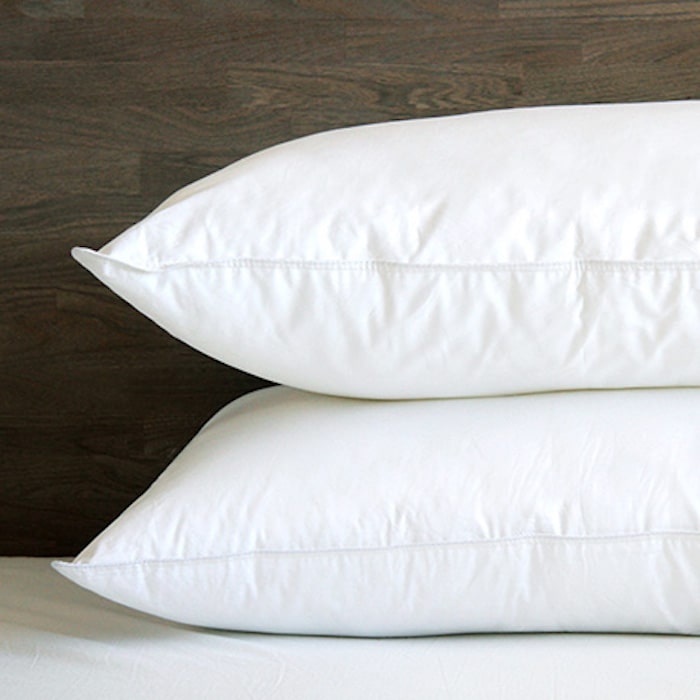 Mt Orford Feather Pillow by Cuddledown